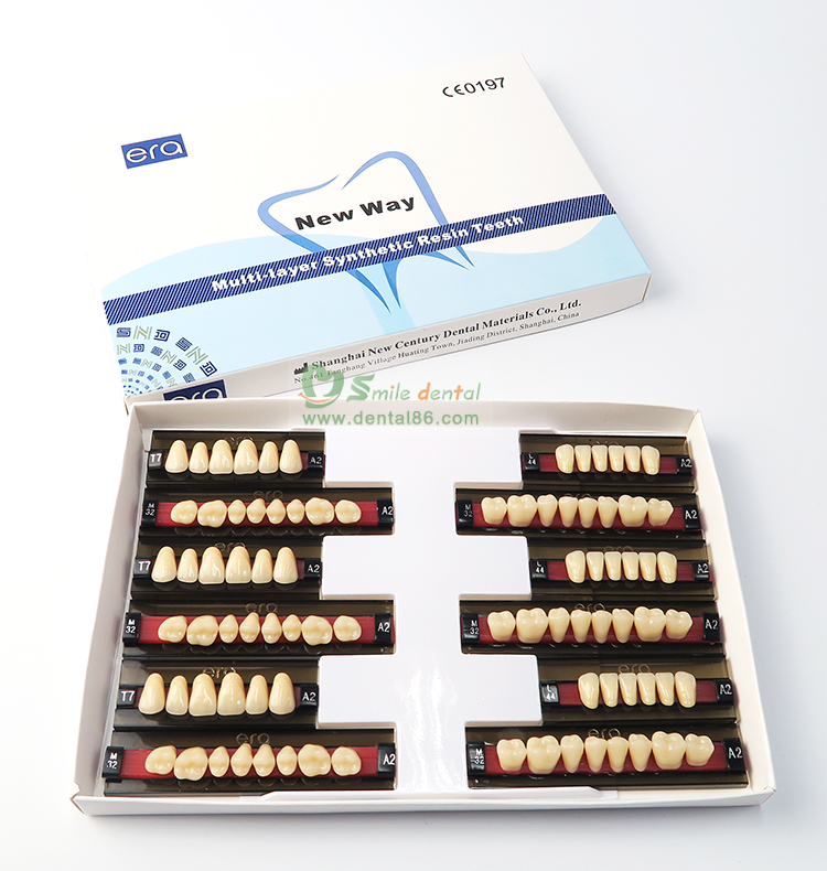 Three Layer Acrylic Resin Teeth